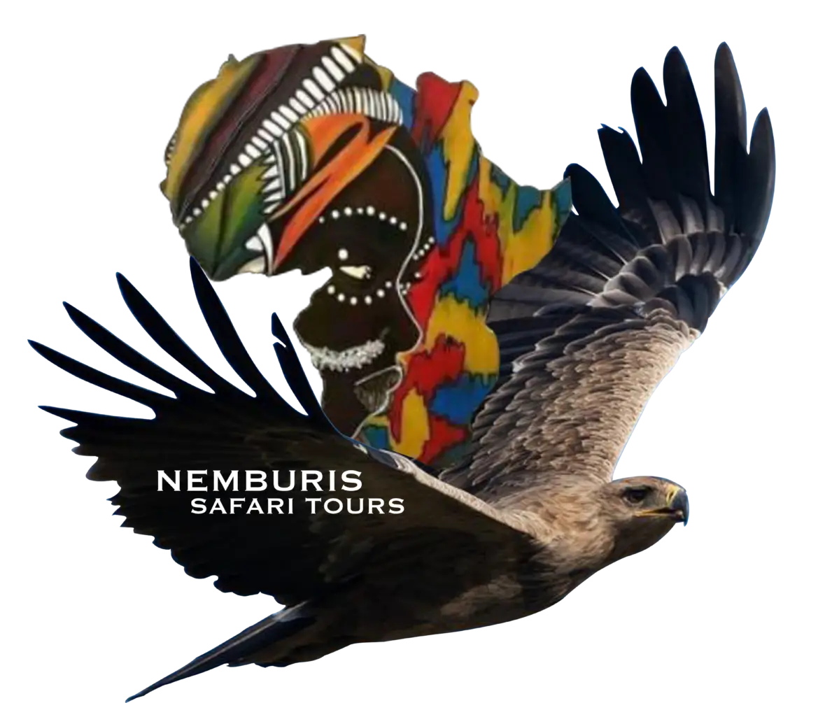 cropped-cropped-Nemburis-Safari-Tours-Logo
